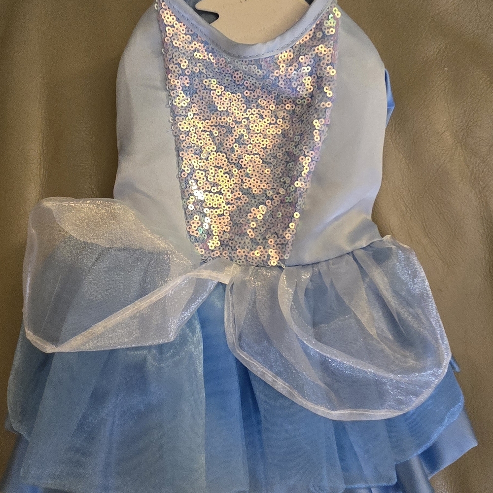 Disney Blue and Silver Small PET Costume